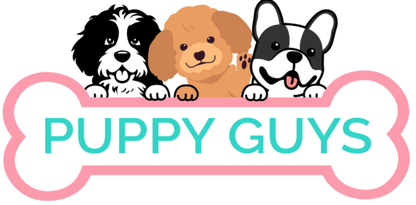 Puppy Guys